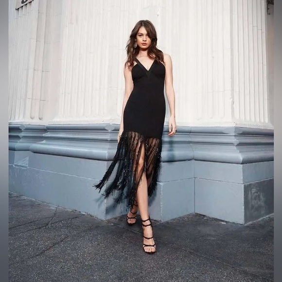 COSMOPOLITAN DRESS THE POPULATION NWT VALENCIA SLEEVELESS FRINGE MIDI DRESS - Picture 4 of 16